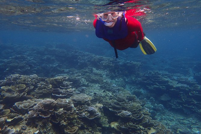 Anilao Snorkel Safari: Explore the Amazing Underwater World - The drive from Manila to Batangas
