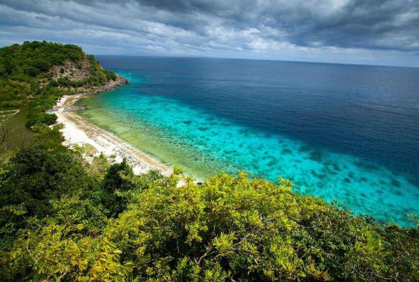 Apo Island Wonders: Snorkel with Sea Turtles in Dumaguete - Why Apo Island is the main event