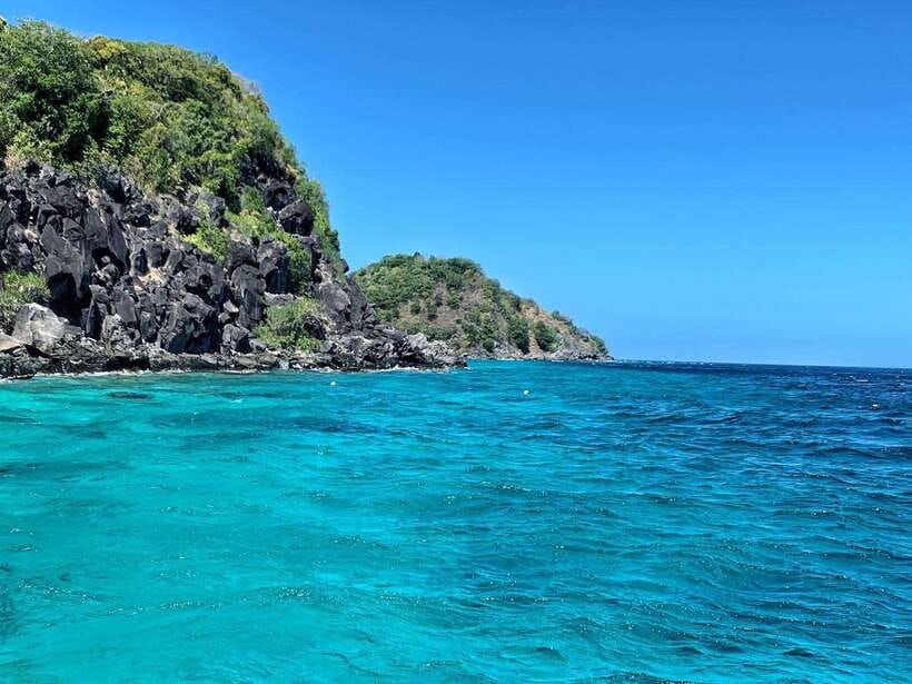 Apo Island Wonders: Snorkel with Sea Turtles in Dumaguete - Three hours of snorkeling near living coral