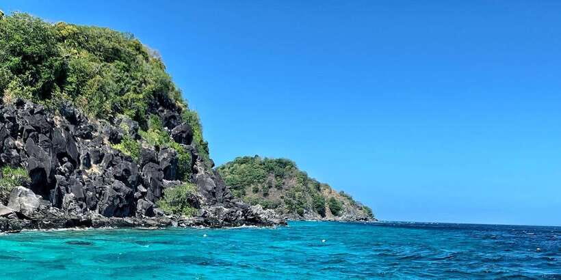 Apo Island Wonders: Snorkel with Sea Turtles in Dumaguete - What the guide service is really like