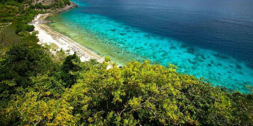 Apo Island Wonders: Snorkel with Sea Turtles in Dumaguete - Is $126 good value?