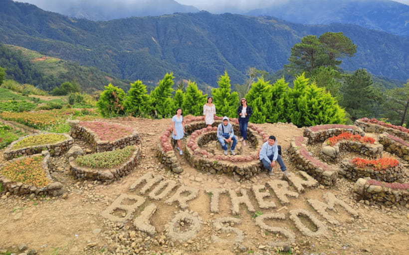 Baguio Atok Flower Blossoms (Private Tour) - Key points to know before booking