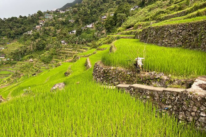 Batad Guided Tour - Why Batad is worth the effort