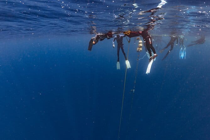 Beginner Freediving Course (with Bonus Session) - What the $416.70 Price Covers