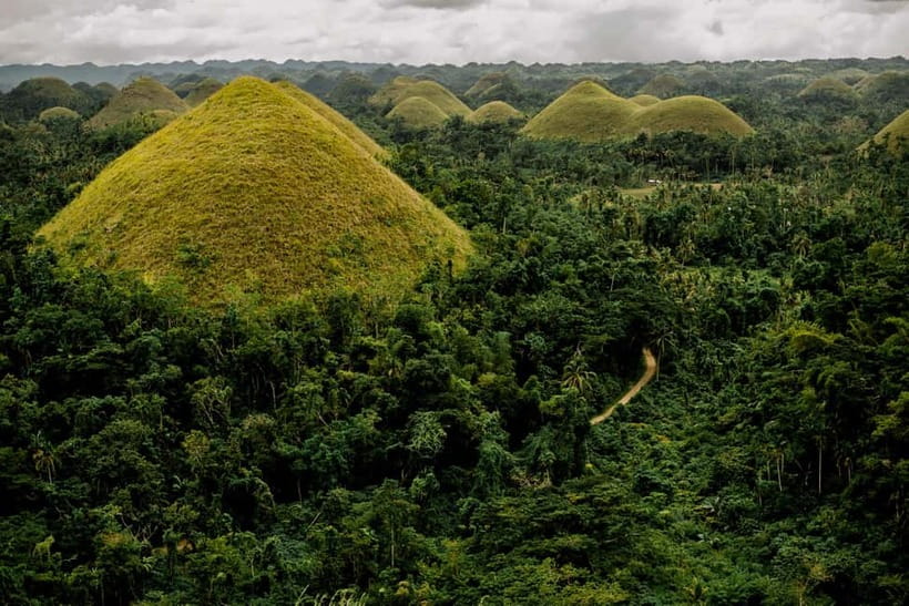 BEST OF BOHOL: Chocolate Hills & Tarsier w Lunch at Loboc - Lunch aboard the Loboc River cruise