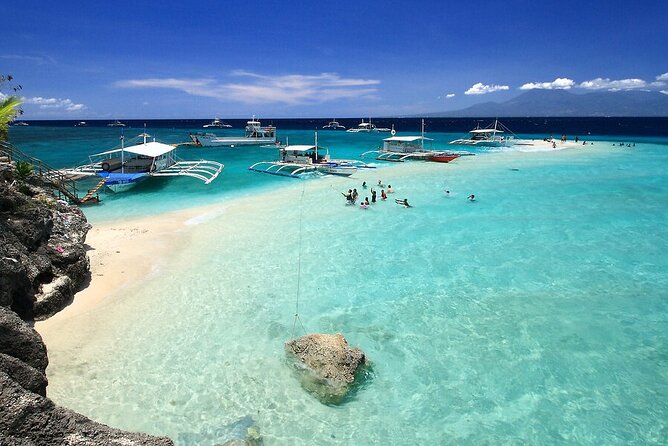 BEST OF CEBU:Oslob Whaleshark Encounter w Sandbar & Tumalog Falls - What this Cebu day trip is really offering