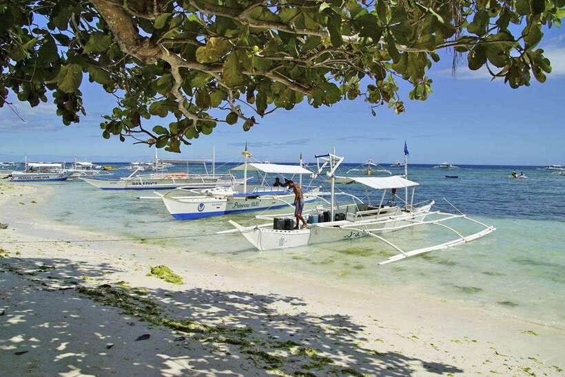 Bohol Balicasag Is Private Tour and Dolphin Watching - Balicasag’s fish and turtle snorkeling