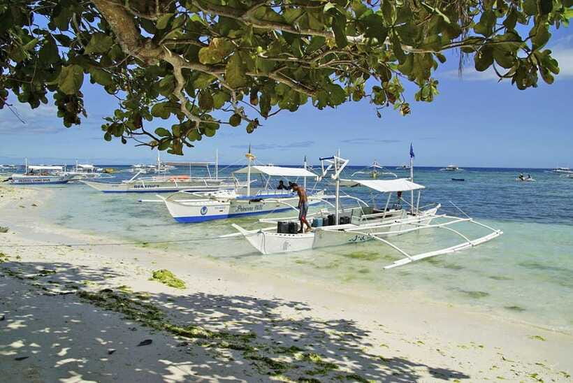 Bohol Balicasag Is Private Tour and Dolphin Watching - Why the private format matters