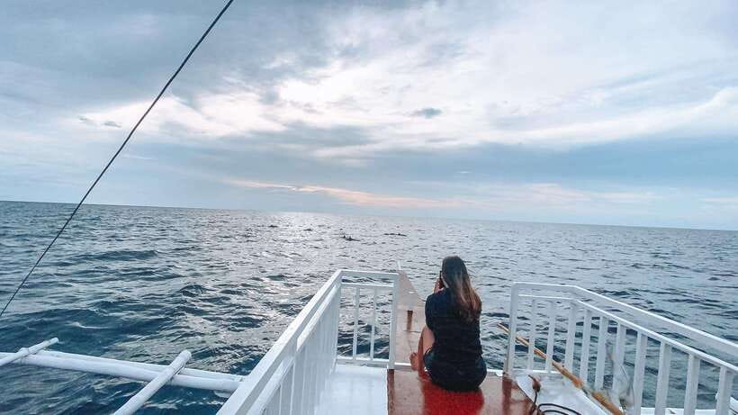 Bohol Balicasag Is Private Tour and Dolphin Watching - Dolphin watching from a traditional boat