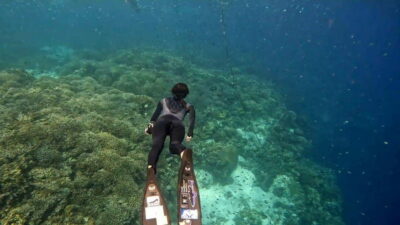 Boat Tour to Sandbar and Snorkeling with Turtles
