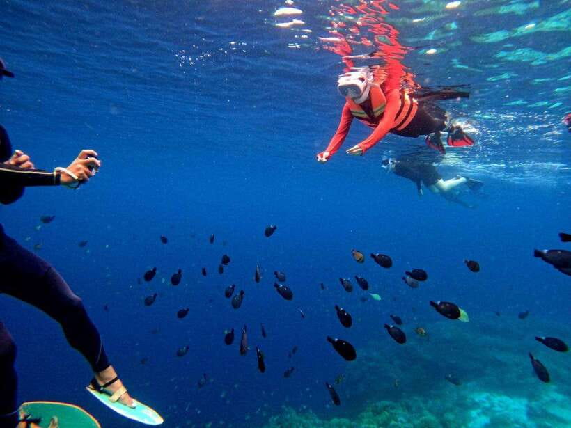 Bohol: Boat Tour to Sandbar and Snorkeling with Turtles - Virgin Island Sandbar after rehabilitation