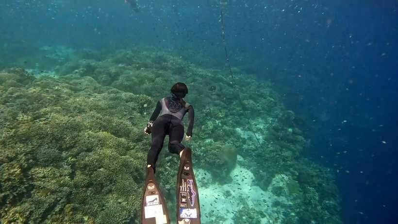 Bohol: Boat Tour to Sandbar and Snorkeling with Turtles - Lunch, drinks, and the value of $51