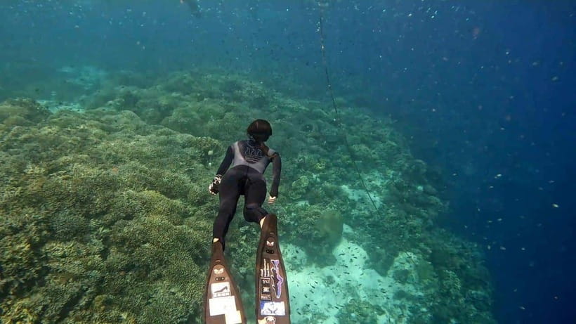 Bohol: Boat Tour to Sandbar and Snorkeling with Turtles - The boat ride toward Balicasag