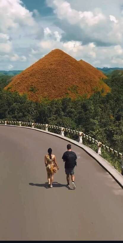 Bohol: Budget Chocolate Hills & Tarsiers -Backpacker Special - Man-Made Forest: a short, cool break