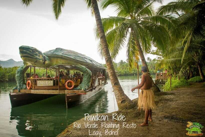 Bohol: Choco Tour + Rio Verde Lunch Buffet - A note about the whale shark account