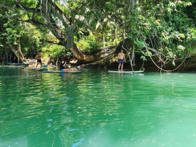 Bohol: Chocolate Hills and Countryside Tour - What the guides add to the experience