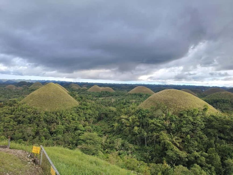 BOHOL: Chocolate Hills, Tarsiers and Loboc River Day Tour - Key points to know before booking