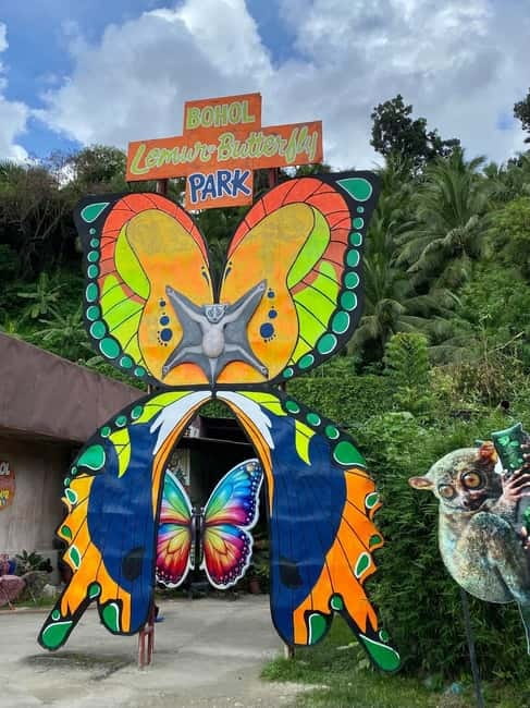 BOHOL: Chocolate Hills, Tarsiers and Loboc River Day Tour - Why this seven-hour Bohol tour works