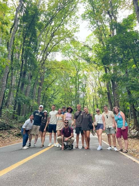 BOHOL: Chocolate Hills, Tarsiers and Loboc River Day Tour - Lemur and Butterfly Park: a personal choice