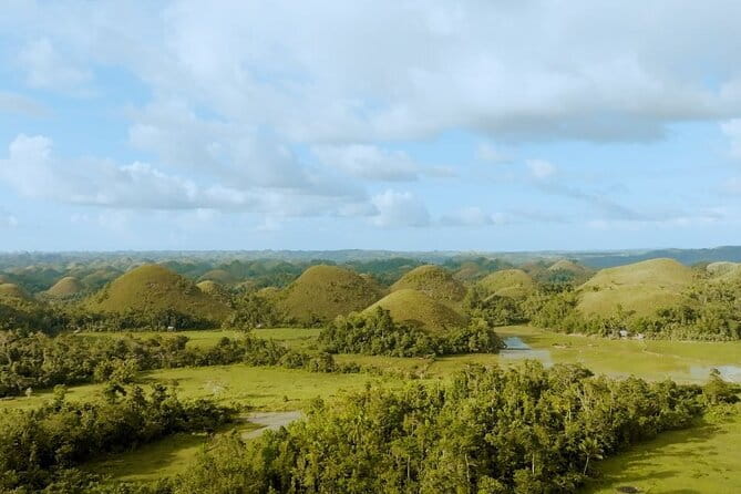 Bohol Chocolate Hills, Tarsiers & Loboc River Shared Tour - The Chocolate Hills viewpoint