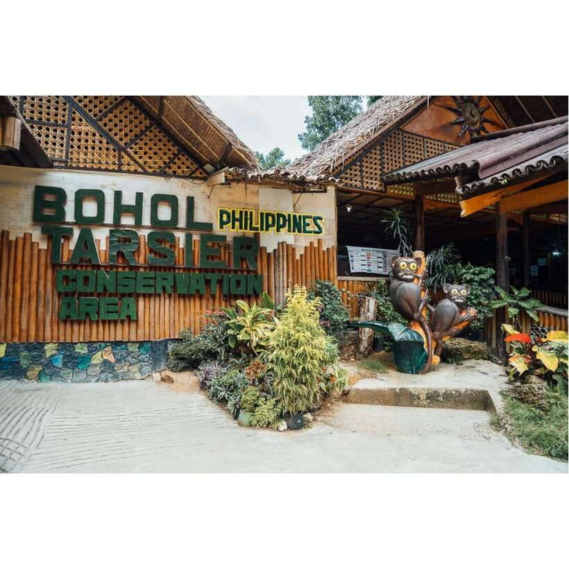 Bohol: Chocolate Hills Tour - Loboc River: the optional floating lunch
