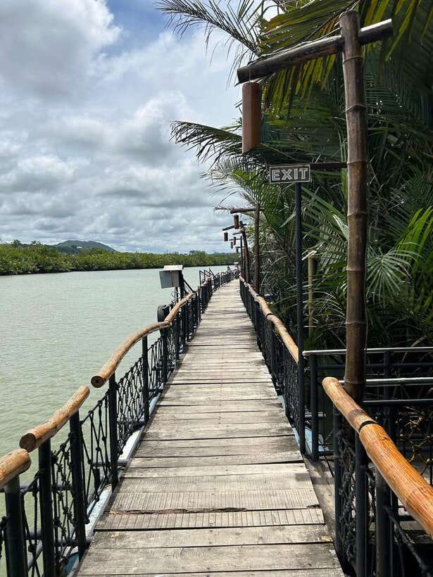 Bohol: Chocolate Hills Tour with Loboc River Cruise & Lunch - Meeting Philippine tarsiers in a conservation area