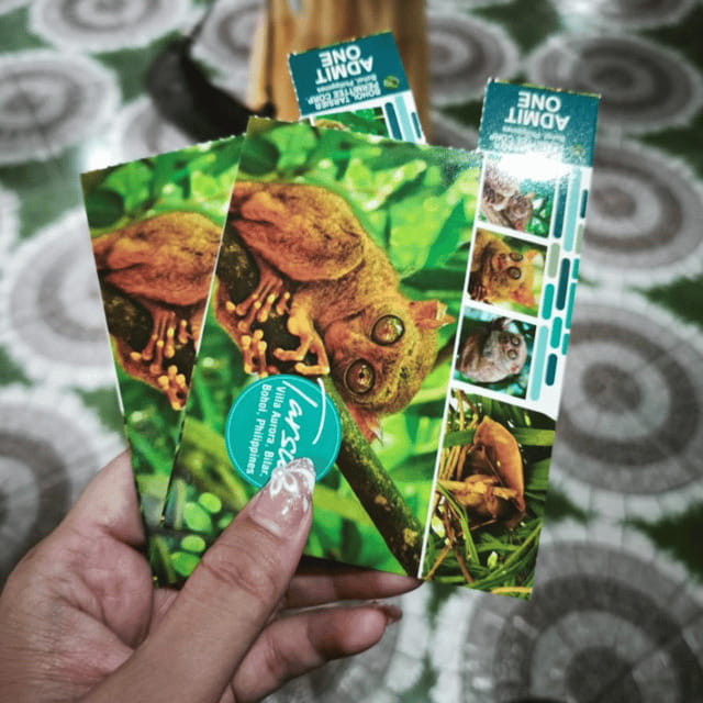 Bohol Chocolate Hills Tour with Loboc River Lunch Buffet - Shared-Tour Realities and How to Protect Your Day