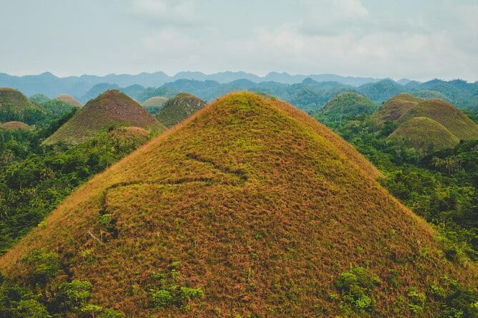 Bohol Country Side Tour - Private w/ Lunch - Bilar Man-Made Mahogany Forest: a cooler road stop