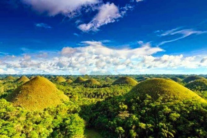 Bohol Countryside Day Tour From Cebu City | Lunch at Loboc River Cruise - Loboc River Cruise combines lunch and entertainment
