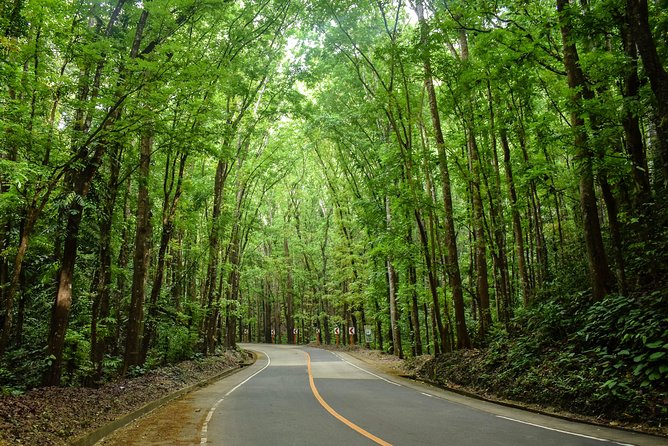Bohol Countryside Day Tour from Cebu City or Mactan - Best Seller - Why a Cebu to Bohol day trip can work