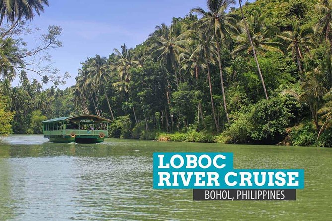 Bohol Countryside Day Tour from Cebu City or Mactan - Best Seller - Tarsier Conservation Area