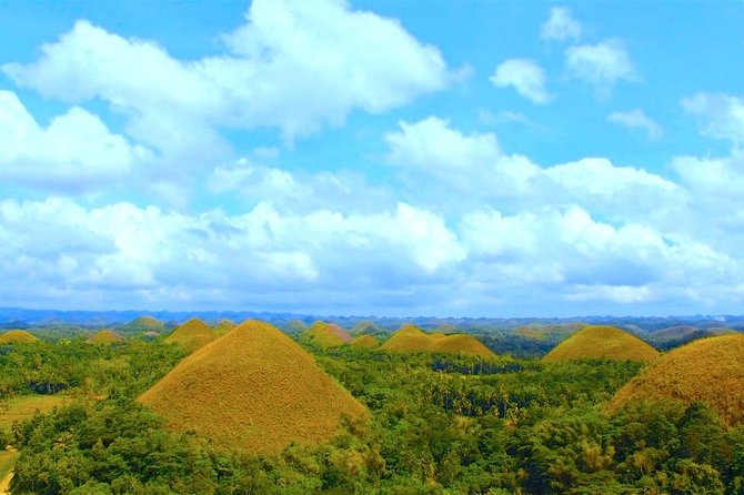 Bohol Countryside Day Tour from Cebu City or Mactan - Best Seller - The 4:30 a.m. start and ferry crossing