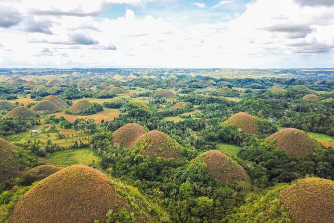 Bohol Countryside Tour: Chocolate Hills, Tarsier and Loboc River - What this Bohol day tour feels like