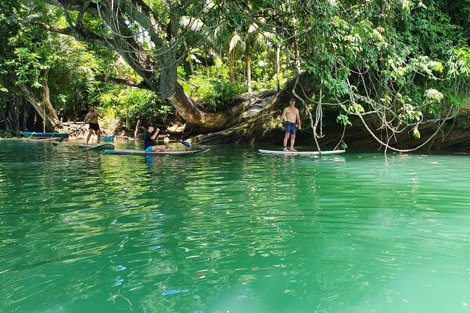 Bohol Countryside Tour: Chocolate Hills, Tarsier and Loboc River - The bonus stops can make the day feel more local