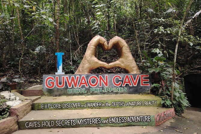 Bohol Countryside Tour to Chocolate Hills and Loboc River - The main event at Chocolate Hills
