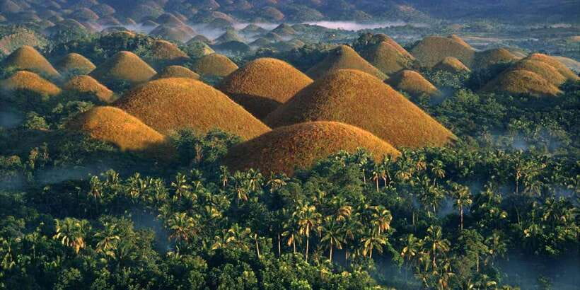 Bohol: Countryside Tour with Loboc (Buffet Lunch) - The man-made forest offers a welcome change