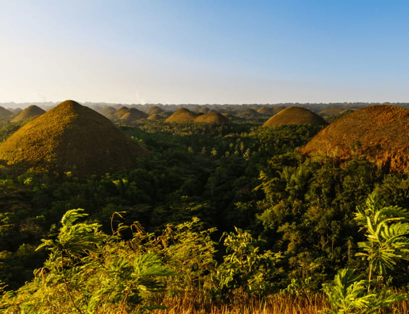 Bohol: Countryside Tour with Tarsiers and Chocolate Hills - Key points to know before booking