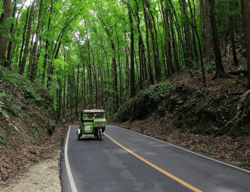Bohol: Countryside Tour with Tarsiers and Chocolate Hills - Loboc for lunch and a needed pause