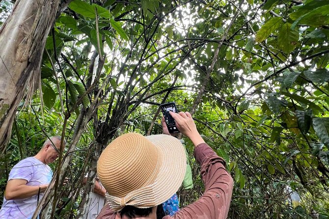 Bohol Day Tour with Round-Trip Transfers from Cebu - Guides can make or break the day