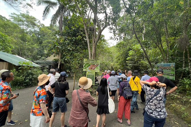 Bohol Day Tour with Round-Trip Transfers from Cebu - Chocolate Hills: Bohol’s big photo stop