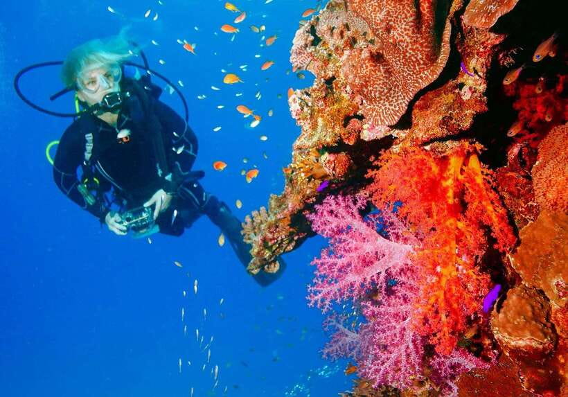 Bohol: Discover Scuba Diving - No Experience Needed - The shallow-water practice that builds confidence
