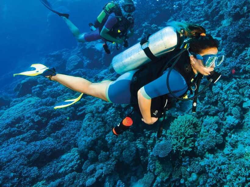 Bohol: Discover Scuba Diving - No Experience Needed - Group size, language, and pacing