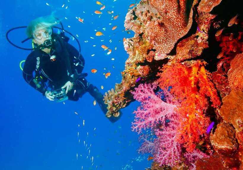 Bohol: Discover Scuba Diving - No Experience Needed - Practical planning for your Bohol day