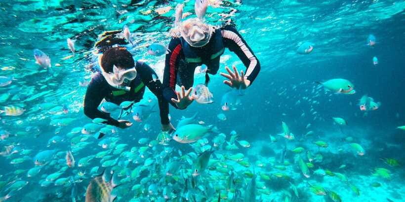 Bohol Dolphin Watching, Balicasag, and Virgin Island Tour - Balicasag Island is the real underwater prize