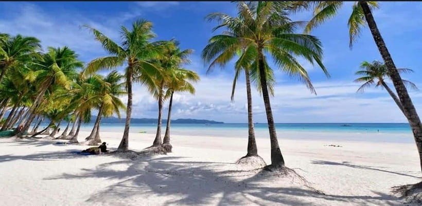 Bohol: Dolphin Watching & Sea Turtle Swim Island Tour - Timing, pickup, and what to pack