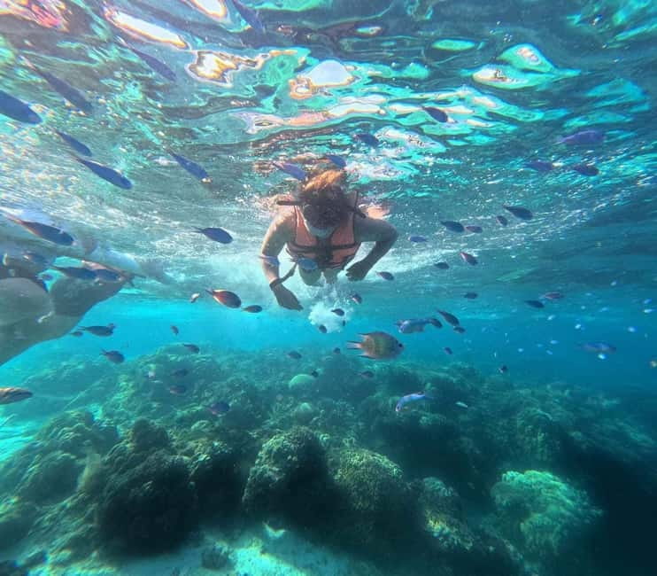 BOHOL: Dolphin Watching, Turtle Swim and Party Boat - An early start from Panglao