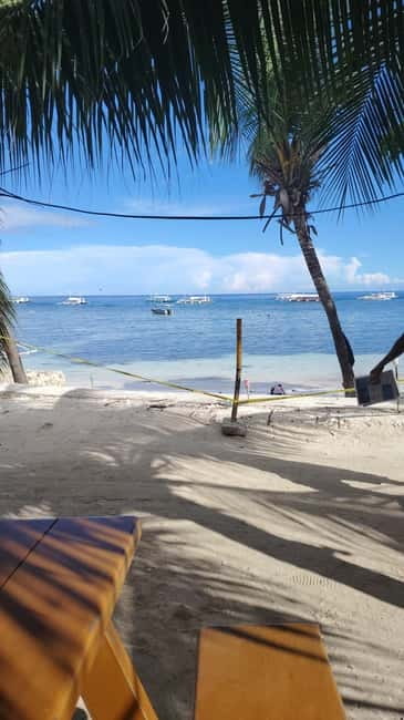 BOHOL: Dolphin Watching, Turtle Swim and Party Boat - Who should book this experience