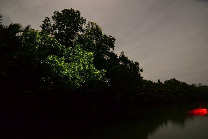 Bohol Firefly Watching (Private) - Why the Abatan River works so well at night