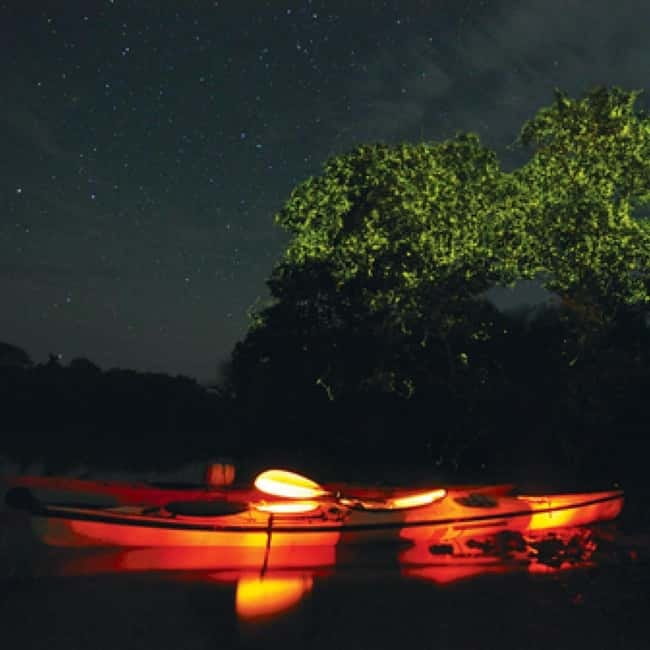 Bohol: Firefly Watching Shared Tour - The one-hour ride from Panglao to Loboc