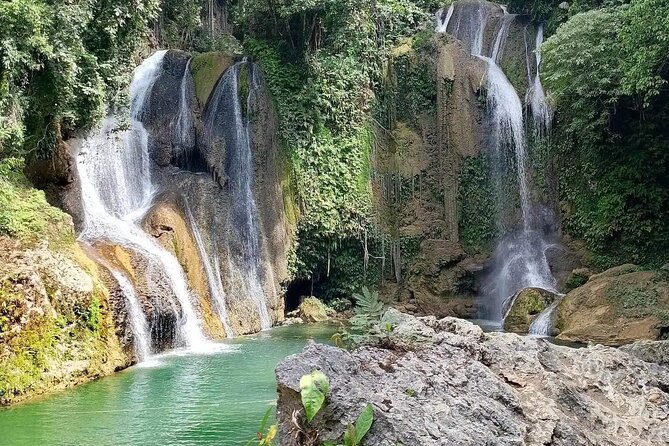Bohol Full Day Waterfall & Countryside Scooter Tour - Meeting the tarsiers in a protected forest